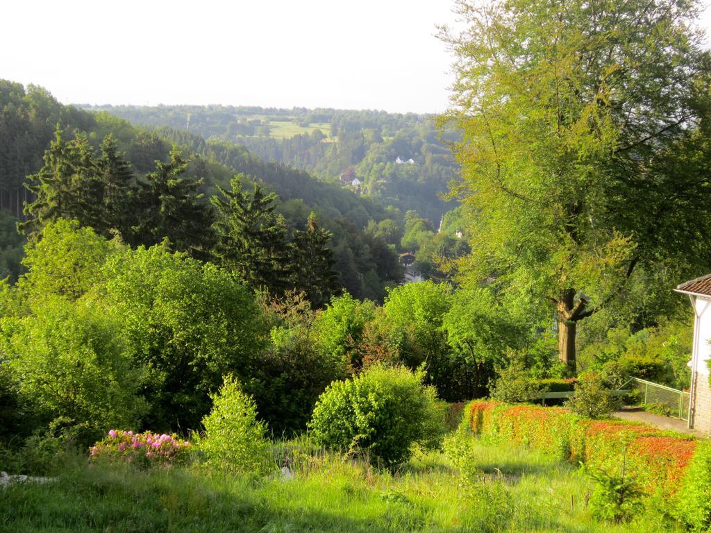 Het Groene Huis Monschau Kültér fotó