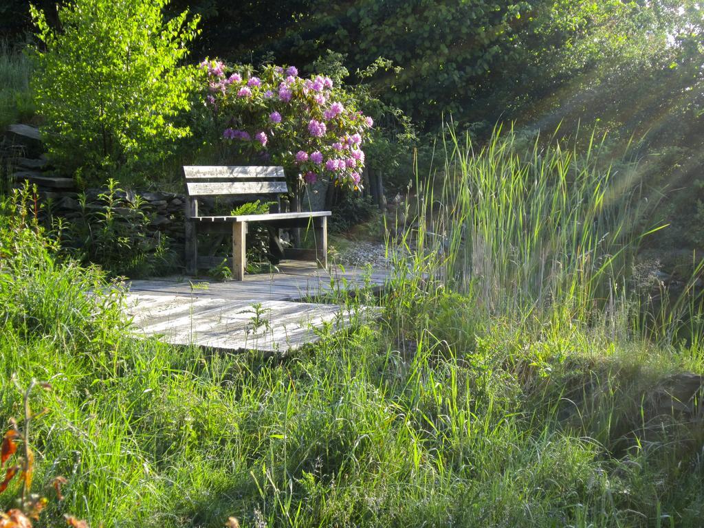 Het Groene Huis Monschau Kültér fotó